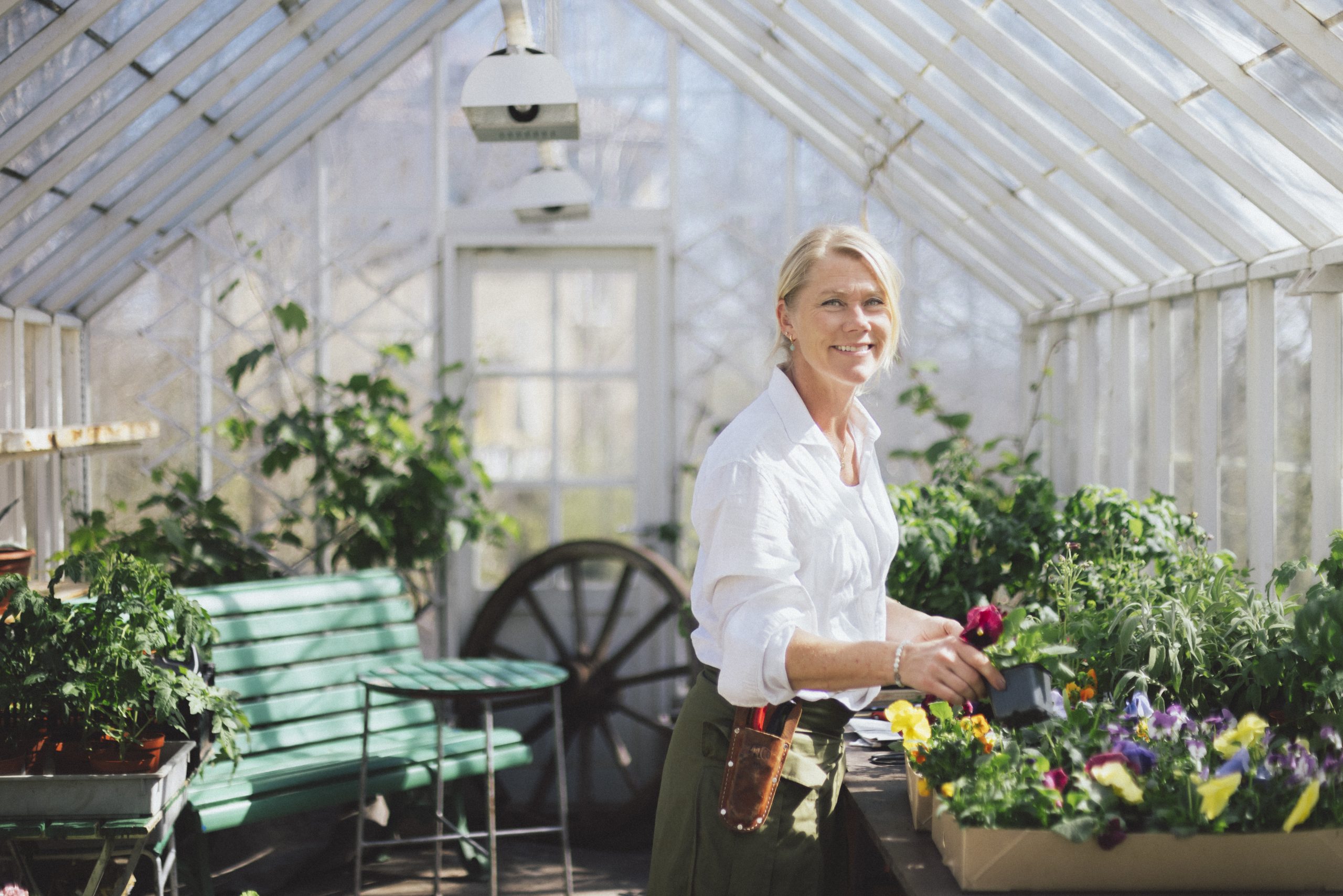 3E2601BB 2419 440B B2A6 949264826583 Copy