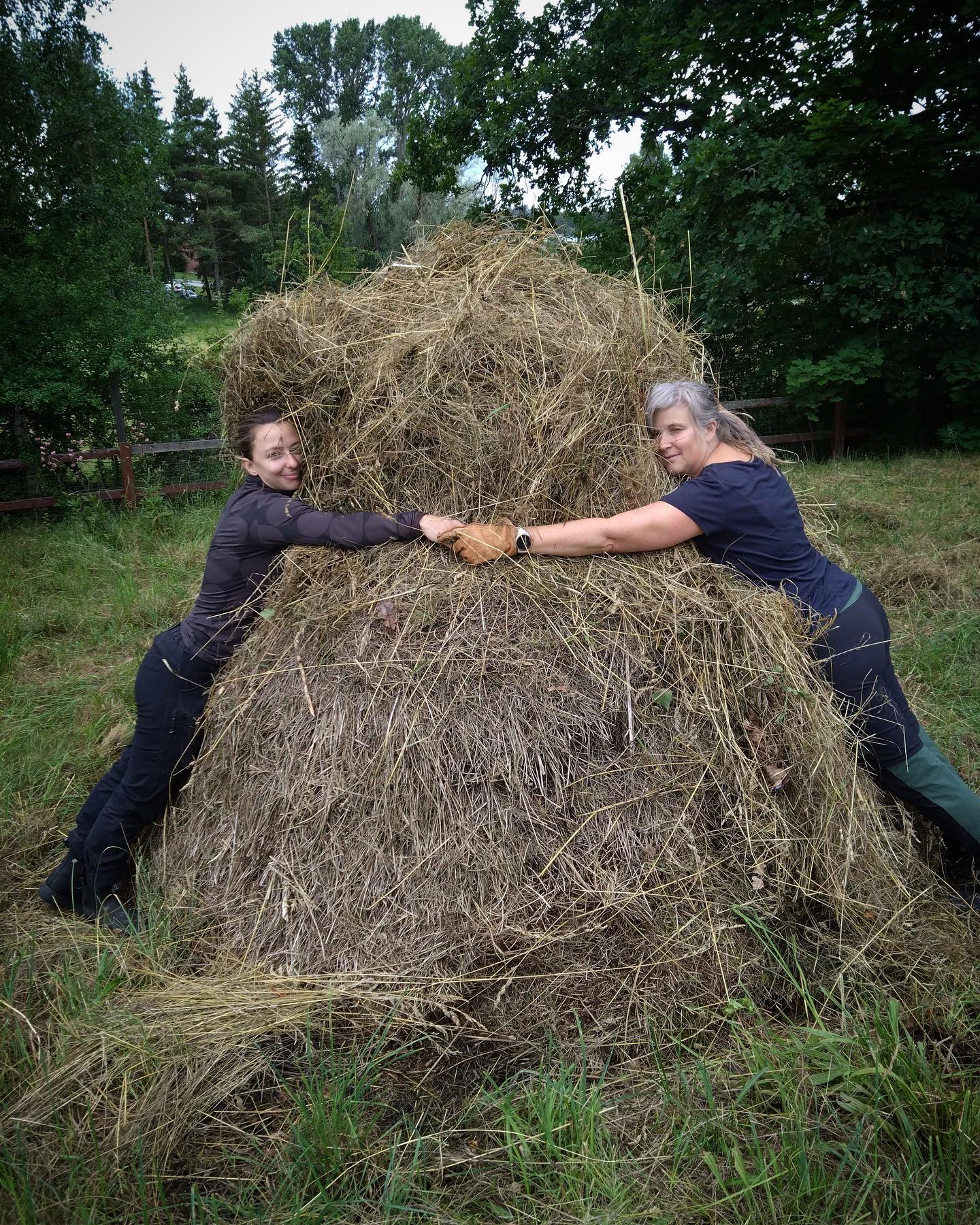 472229654 18481780207034106 1881914321917863690 n