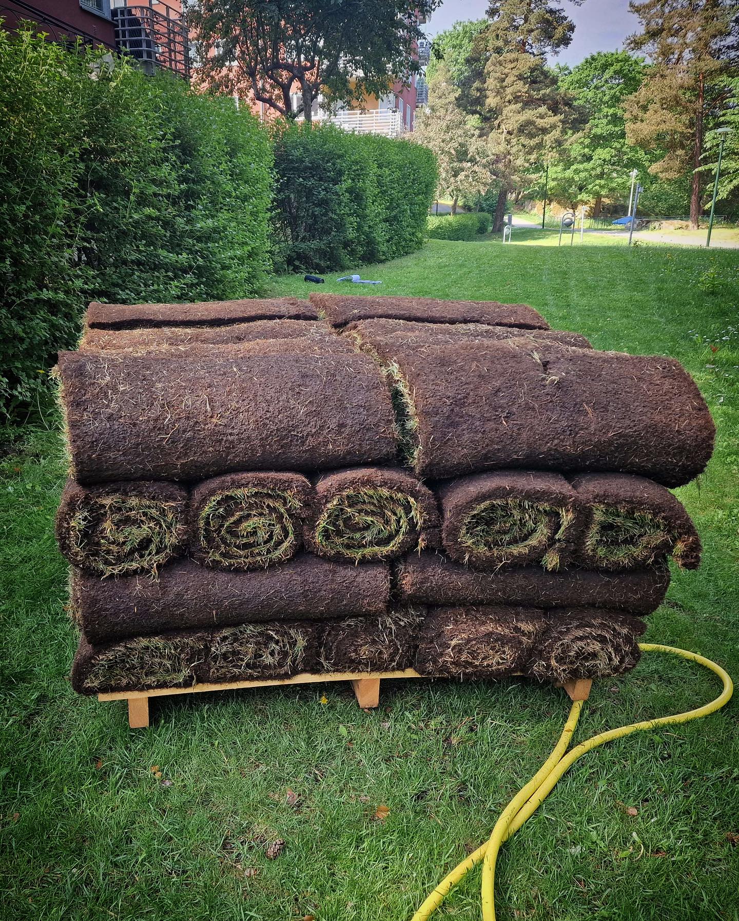 475342363 18482907334034106 805000237170133141 n