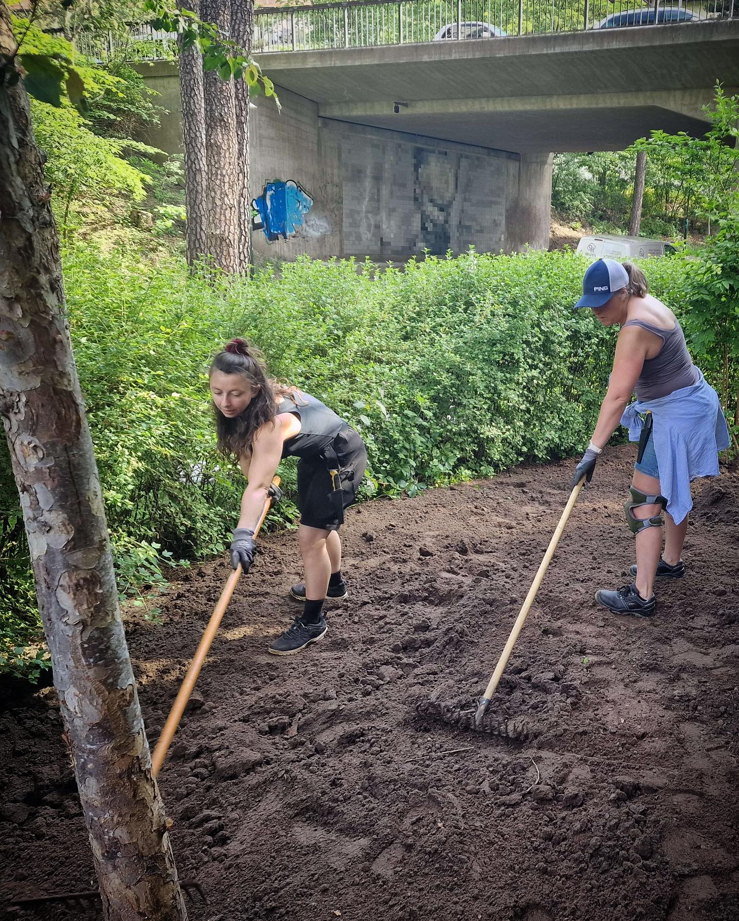 475446165 18482907307034106 8486438012238462066 n