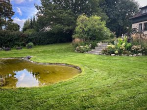 485028205 1233517151539891 1749500314278370170 n