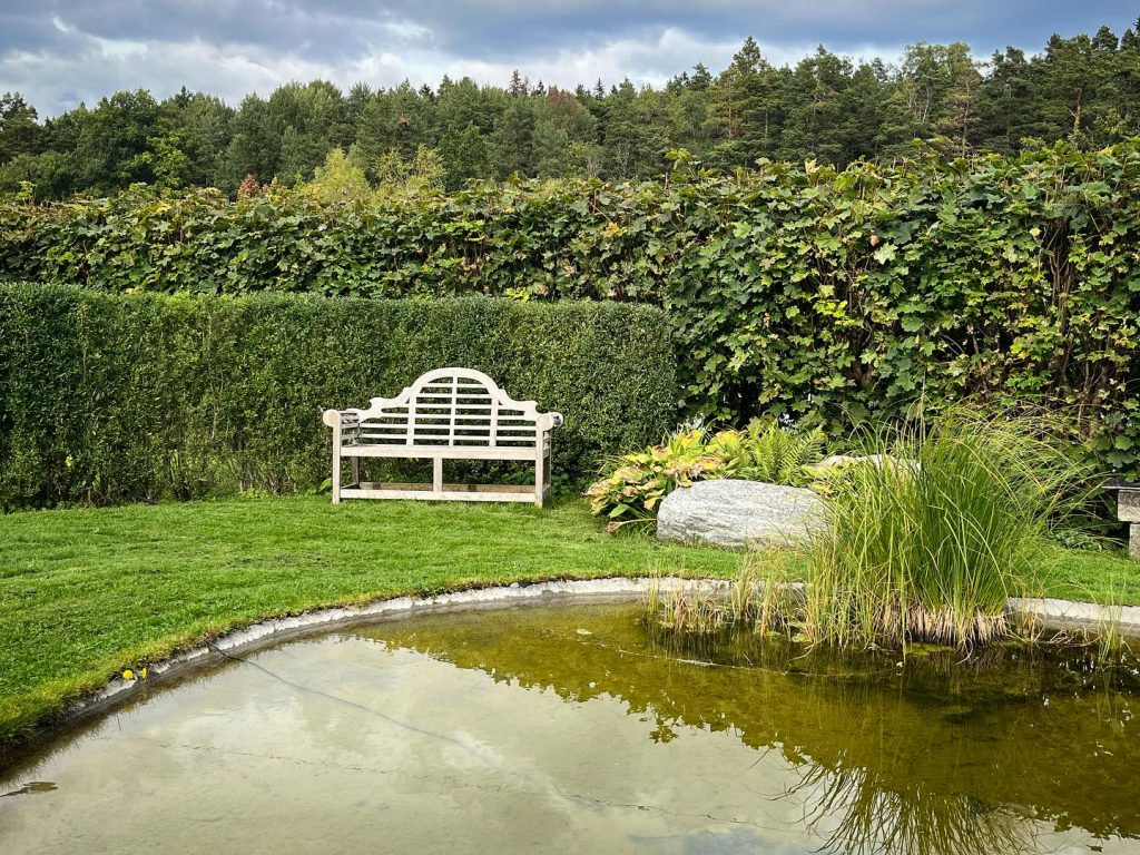 485683270 1233517144873225 7380897259942382852 n